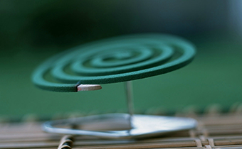 蚊香灰可以種植物嗎 蚊香灰燒完了可不可以種花