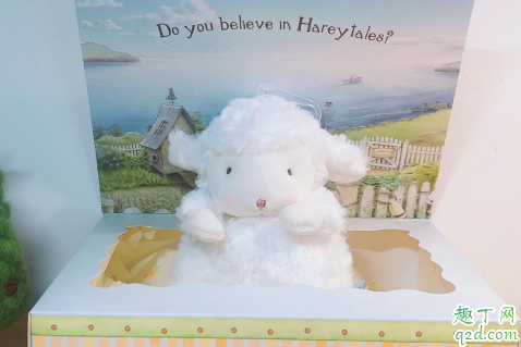 bunnies羊正版多少錢 bunnies羊怎么火的1