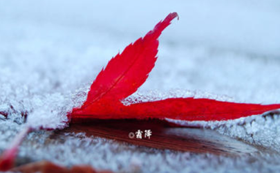 2020什么時候霜降 霜降下來是哪個節(jié)氣