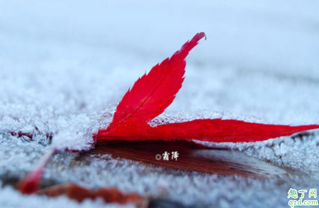 2020什么時(shí)候霜降 霜降下來(lái)是哪個(gè)節(jié)氣1