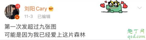 愛上了這片森林什么梗 2019最佳渣男語錄合集2