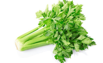 芹菜葉子能吃嗎 為什么芹菜葉子沒人吃