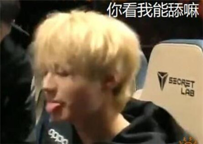 fpx表情包帶字搞笑版 S9fpx奪冠表情圖片5