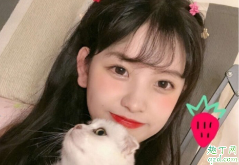 2020在家躺尸的朋友圈說說 只想在家躺尸的說說發(fā)朋友圈4