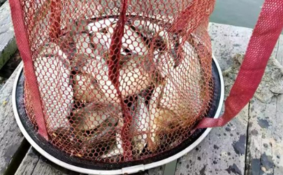 閑魚上的品牌魚鉤怎么樣 正規(guī)品牌魚鉤在哪買比較好