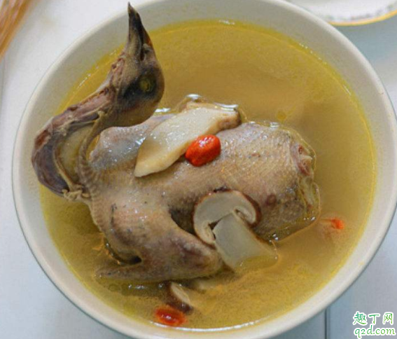剖腹產(chǎn)喝鴿子湯要放姜嗎 產(chǎn)后喝鴿子湯補(bǔ)氣血嗎2
