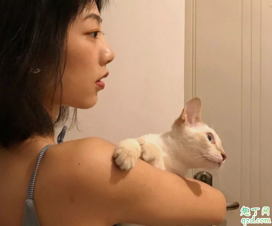 2019伊樂(lè)app二維碼下載 伊樂(lè)手機(jī)app官網(wǎng)版哪里有2