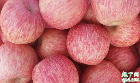 片紅蘋(píng)果與條紅蘋(píng)果哪個(gè)營(yíng)養(yǎng)高 片紅蘋(píng)果和條紅蘋(píng)果怎么選擇6