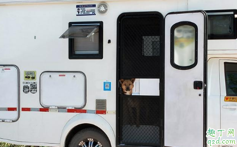 房車晚上睡覺怎么通風(fēng) 睡在房車?yán)飼粫毖?