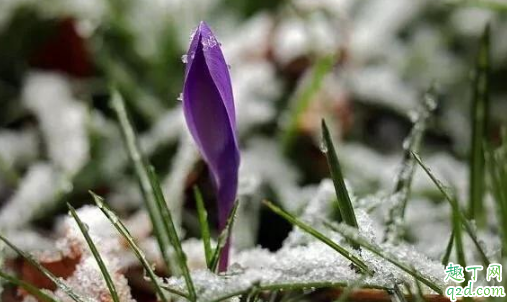 2019大雪過后就冷了嗎 大雪不下雪好不好1