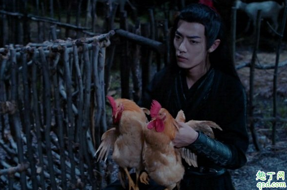 藍(lán)忘機(jī)偷了滕梓荊家的雞是什么梗 為何說藍(lán)忘機(jī)偷的是滕梓荊家的雞2