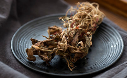 金線蓮可以人工種植嗎 金線蓮怎么種植成活率高