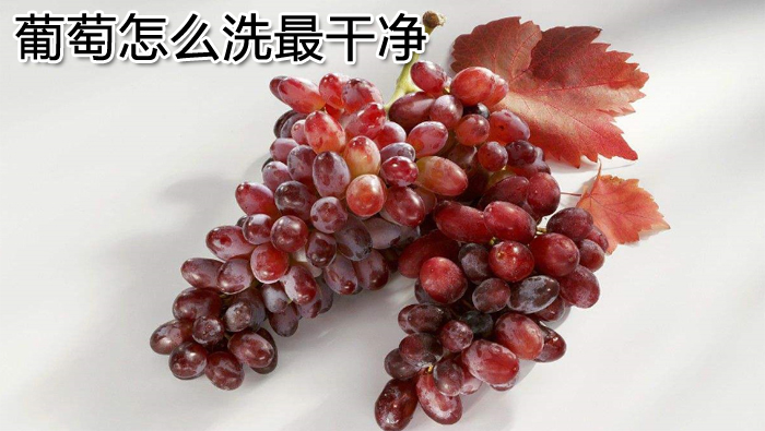 葡萄怎么洗最干凈