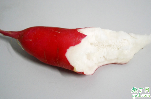 蘿卜糠心是什么意思 水蘿卜糠了是什么原因1