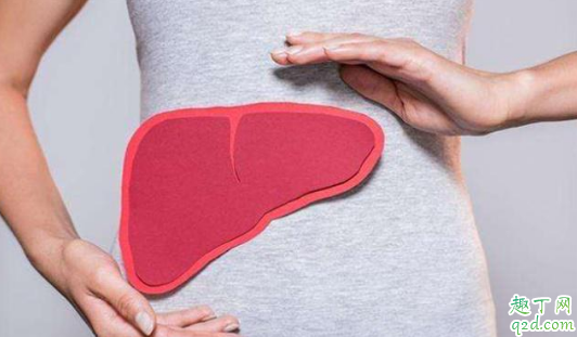 烏龍茶能讓脂肪肝患者喝嗎 什么茶葉對脂肪肝好1