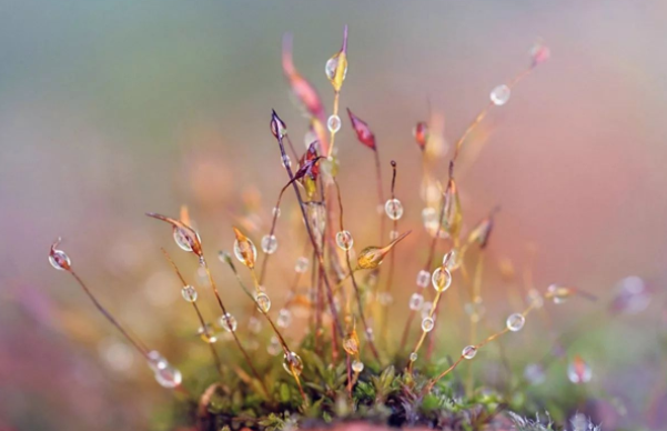 2020年寒露能登記結(jié)婚嗎 2020年寒露可以結(jié)婚擺酒席嗎5