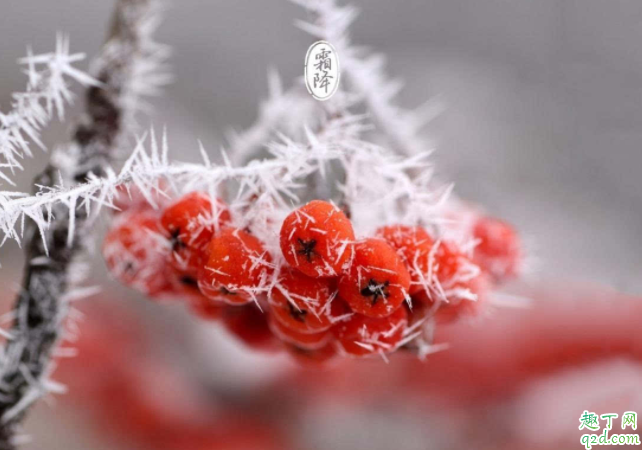 2020什么時(shí)候霜降 霜降下來(lái)是哪個(gè)節(jié)氣5