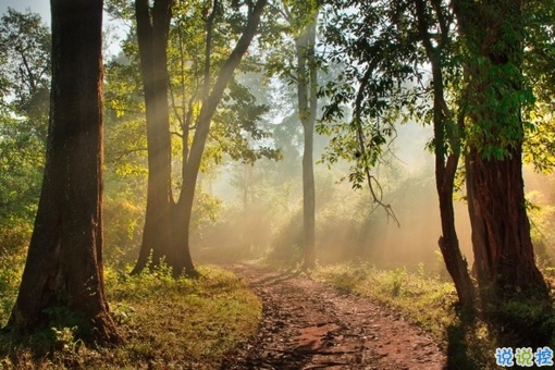 心里委屈難過(guò)的說(shuō)說(shuō)帶圖片 適合心情不好時(shí)發(fā)的微信說(shuō)說(shuō) 3