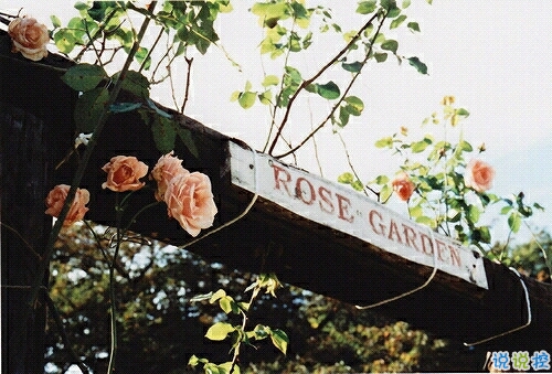 一個(gè)人情緒低落的傷感說(shuō)說(shuō)帶圖片 受過(guò)傷流過(guò)淚的難過(guò)說(shuō)說(shuō)14