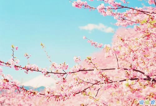 2019過年說說心情短語發(fā)朋友圈 微信朋友圈過年的說說2