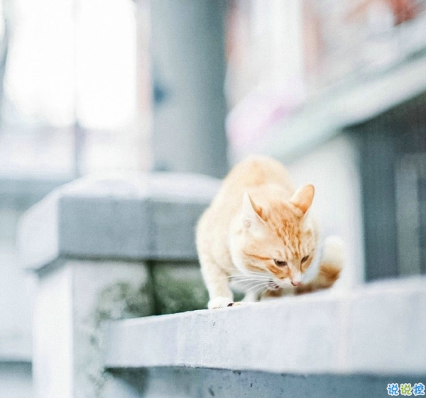 關(guān)于一個(gè)人旅行的精辟哲理說(shuō)說(shuō)帶圖片 每一次旅行其實(shí)都是一場(chǎng)修行7