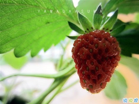 男女都適合的成熟愛(ài)情說(shuō)說(shuō)帶圖片 你必須學(xué)會(huì)和懂得的愛(ài)情真理8