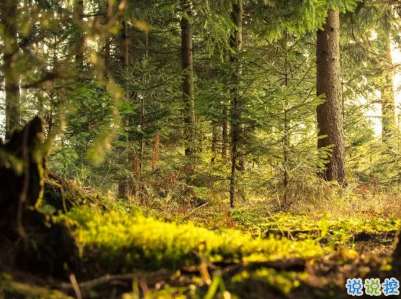 很現(xiàn)實的人生感悟經典句子 人生感悟句句精辟帶圖片3