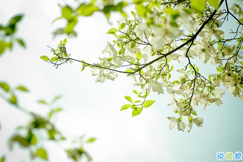 給人正能量的早安句子2019精選 早安說說簡短經典一句話1