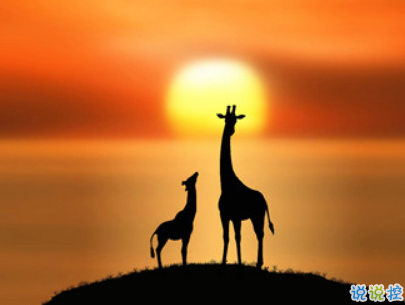 2019復(fù)活節(jié)祝福語英文大全帶翻譯配圖 復(fù)活節(jié)快樂說說致所有人5