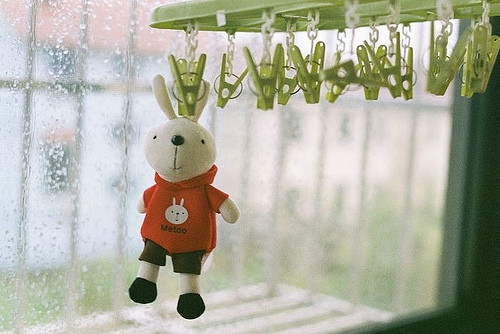 文字控喜歡的溫暖治愈文藝說說帶圖片 想跌進(jìn)你的懷里把夏天帶給你4