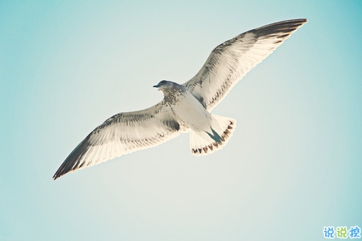 2019抖音經(jīng)典愛情說說帶圖片 長大后逐漸懂得的愛情道理13