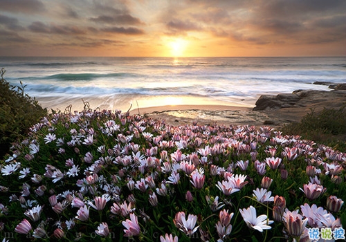 2019最流行的心情說說帶圖片 適合發(fā)朋友圈的情感說說13