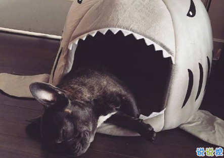 qq空間郁悶說(shuō)說(shuō)配圖傷感：有時(shí)自己也捉摸不透自己1