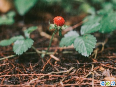 2019谷雨發(fā)微信短信的祝福語合集 谷雨節(jié)氣送祝福說說2