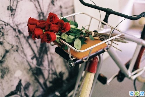 2019晚安心語(yǔ)心情說(shuō)說(shuō)大全 每天睡前一句晚安說(shuō)說(shuō)致所有人1