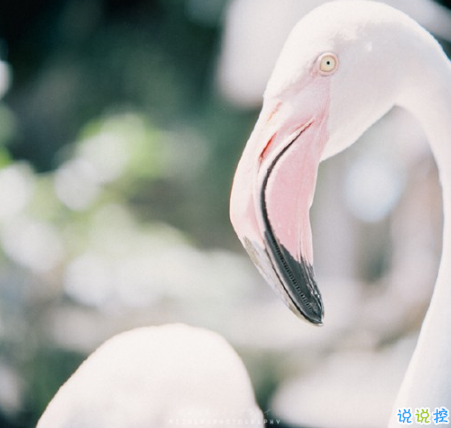 表示無聊的朋友圈說說帶圖片：無聊，是人生的一種正?，F(xiàn)象6