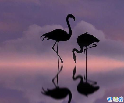 說(shuō)到心坎的傷感說(shuō)說(shuō)帶圖片戳中你的內(nèi)心 失落又心痛發(fā)朋友圈說(shuō)說(shuō)精選5