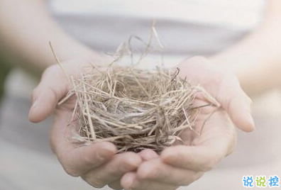 小清新的早安心語帶圖片：最美好的不是未來，是今天12