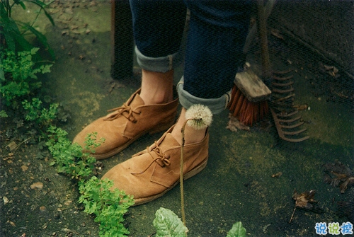 日常愛情說說經典有意義帶圖片 我喜歡你來自心臟不是口腔2