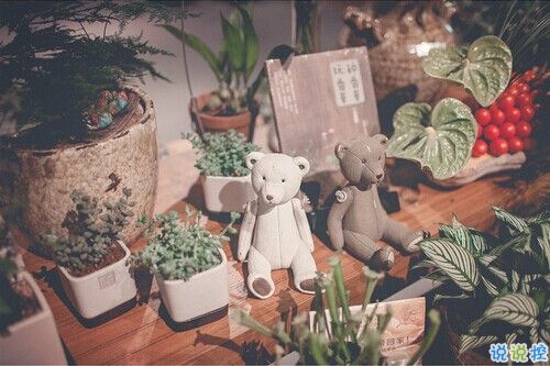 2019情人節(jié)一個(gè)人過(guò)的說(shuō)說(shuō)帶圖片 情人節(jié)傷感心情說(shuō)說(shuō)配圖14