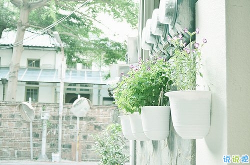 2019微信最火的說說 被點(diǎn)贊轉(zhuǎn)發(fā)最高的30條說說2