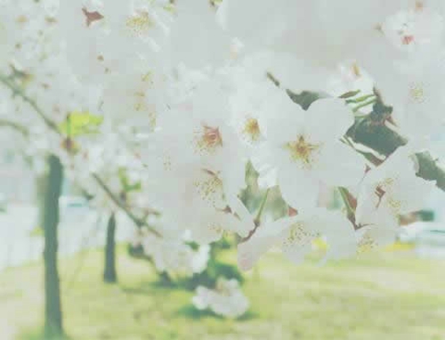 充滿粉紅色少女心說說適合心情不錯(cuò)的時(shí)候發(fā)帶圖片2