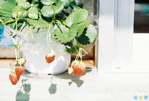 抖音上關于時間流逝的傷感句子大全 時間飛逝的傷感句子2018超經典2