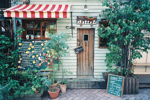 正能量的句子經(jīng)典語句 你的人生你做主2