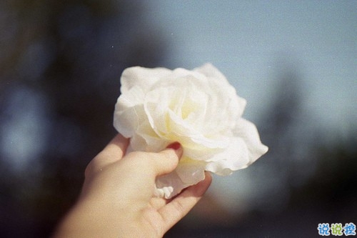 關(guān)于愛(ài)情簡(jiǎn)單又有道理的句子配圖 愛(ài)情是一個(gè)人的天荒地老13