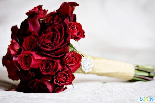 對(duì)愛一往情深的經(jīng)典說說帶圖片 文藝愛情小短句表達(dá)愛意3