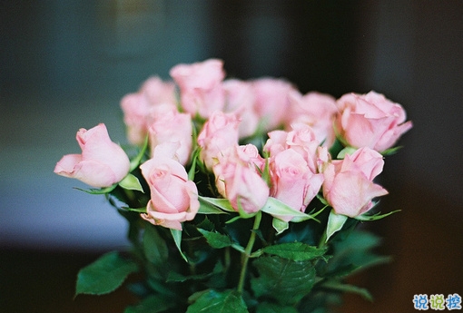 2019戳破人心的傷感說(shuō)說(shuō)合集 超扎心的一句話說(shuō)說(shuō)1