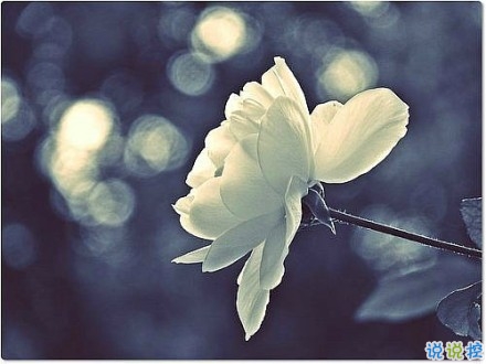 2019新年說說傷感一個(gè)人過 新年感到孤獨(dú)的傷感說說句子2