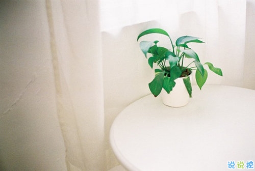 2019最新qq經(jīng)典說說帶圖片 句句真理值得學(xué)習(xí)的說說4