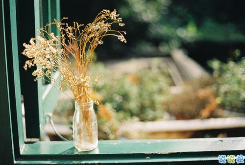 很有哲理的英文個(gè)性說(shuō)說(shuō)帶翻譯 有道理的精辟英文說(shuō)說(shuō)2